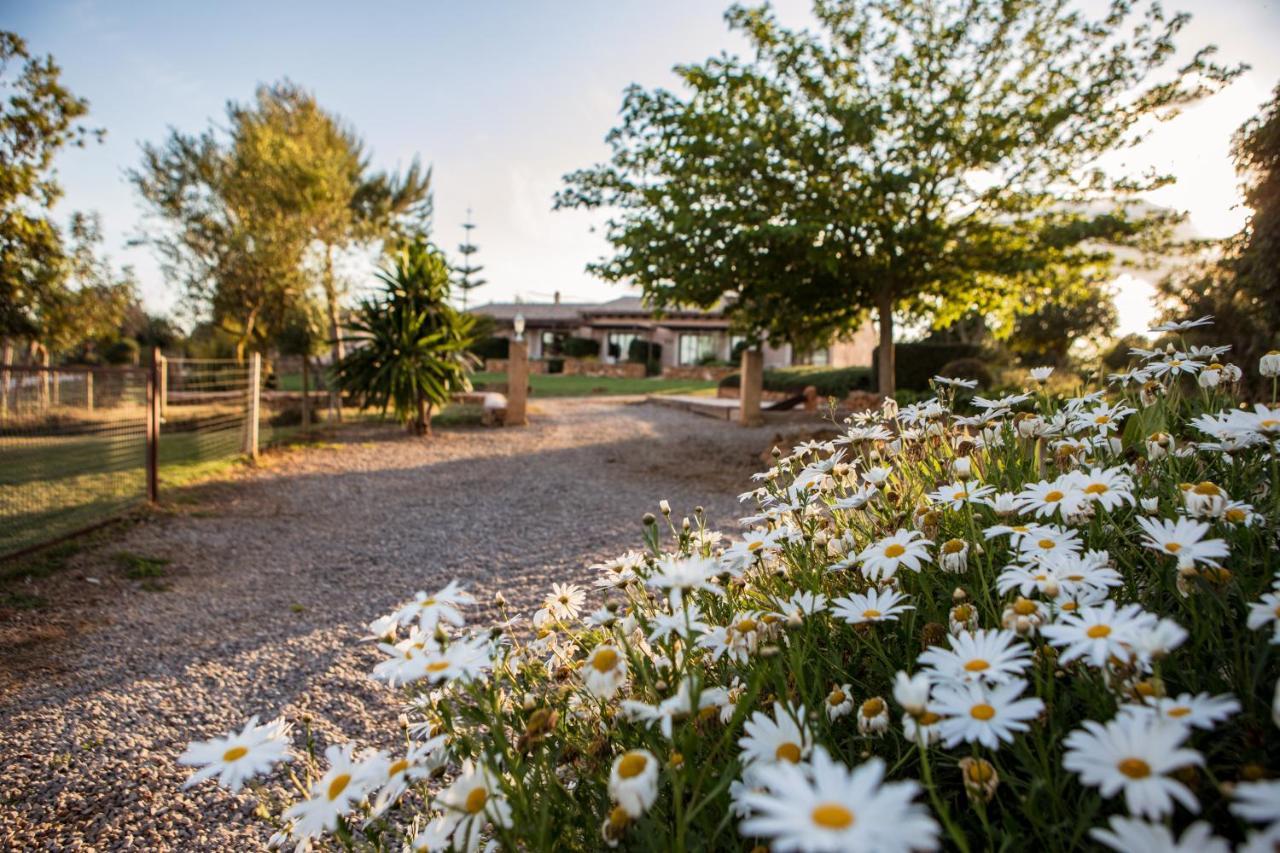 Agroturismo Can Pere Rei Son Serra de Marina Exteriör bild