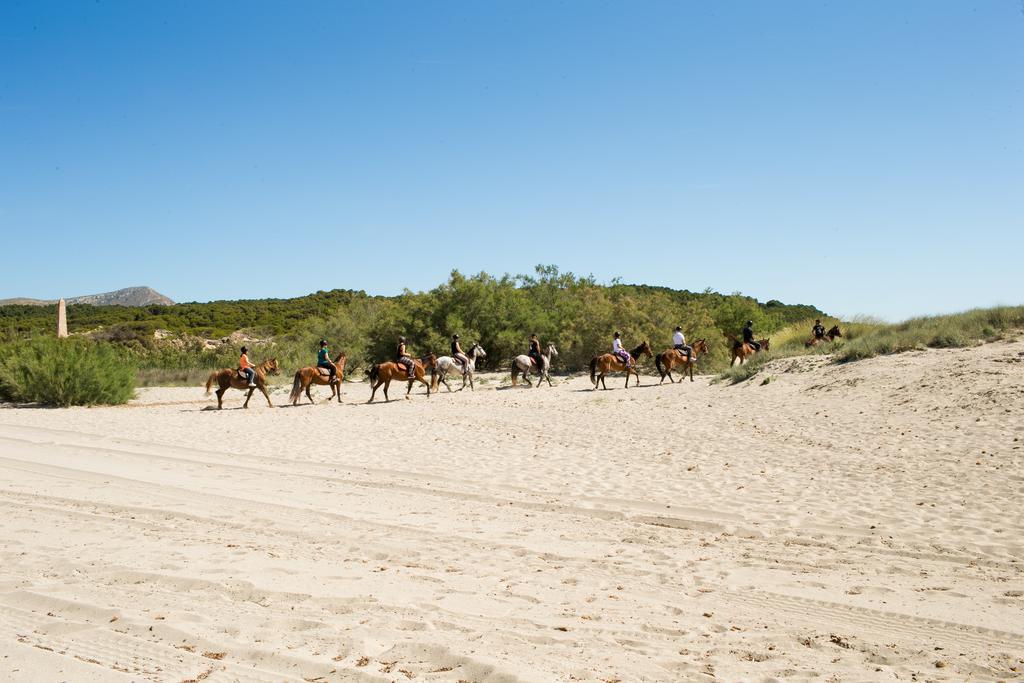 Agroturismo Can Pere Rei Son Serra de Marina Exteriör bild