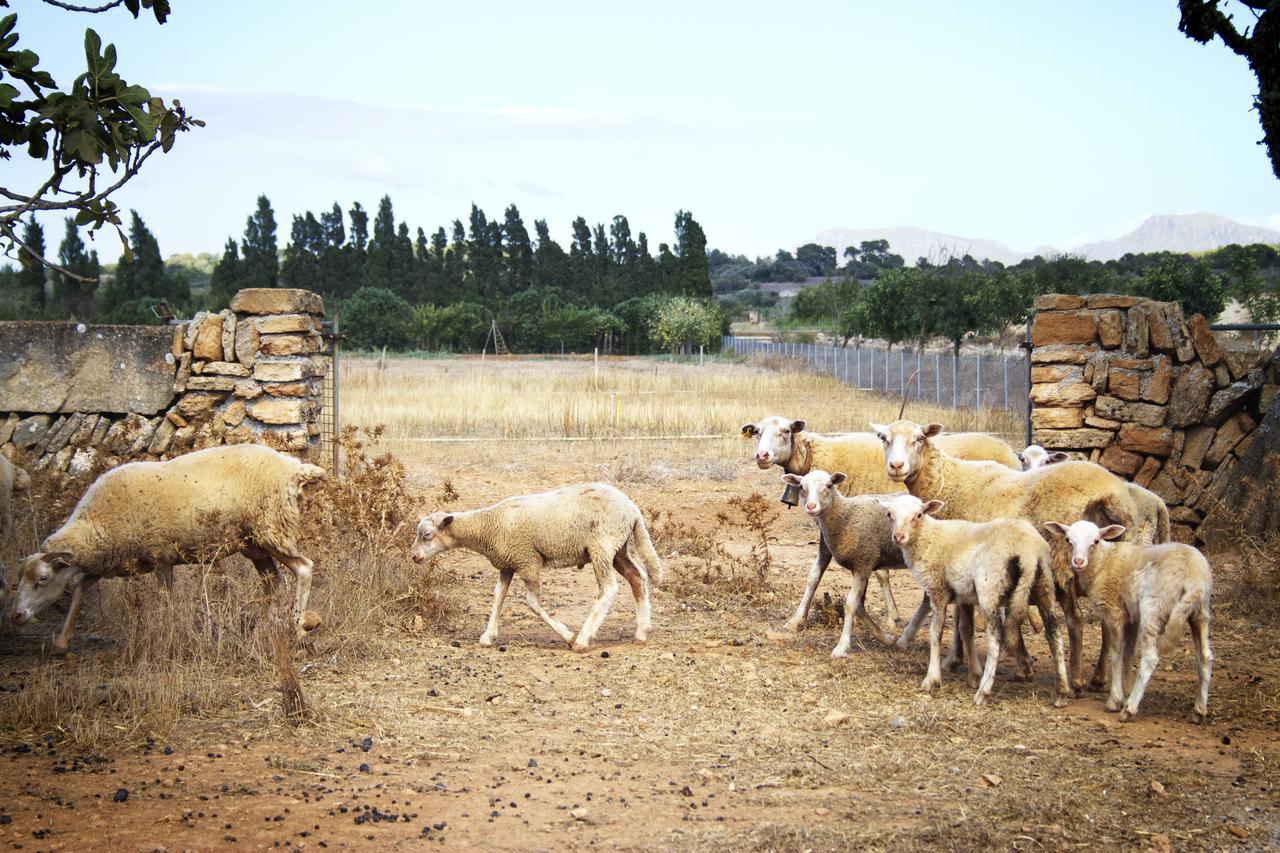 Agroturismo Can Pere Rei Son Serra de Marina Exteriör bild